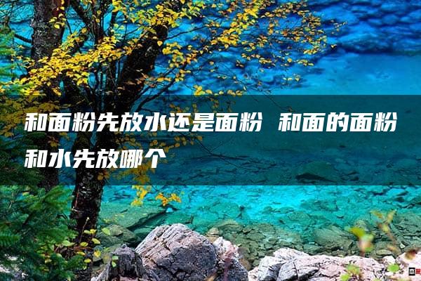 和面粉先放水还是面粉 和面的面粉和水先放哪个