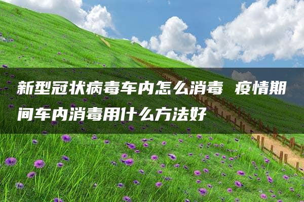 新型冠状病毒车内怎么消毒 疫情期间车内消毒用什么方法好