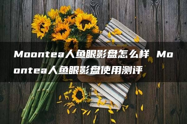 Moontea人鱼眼影盘怎么样 Moontea人鱼眼影盘使用测评