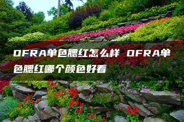 OFRA单色腮红怎么样 OFRA单色腮红哪个颜色好看