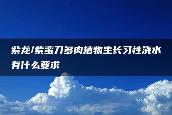 紫龙/紫蛮刀多肉植物生长习性浇水有什么要求