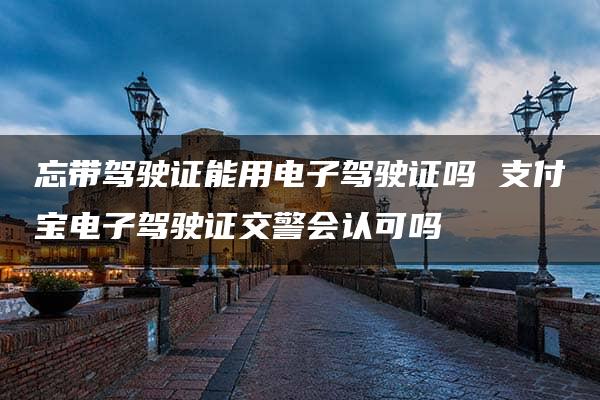 忘带驾驶证能用电子驾驶证吗 支付宝电子驾驶证交警会认可吗