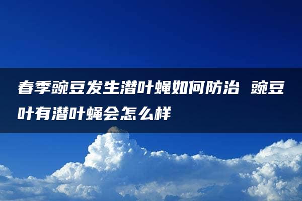 春季豌豆发生潜叶蝇如何防治 豌豆叶有潜叶蝇会怎么样