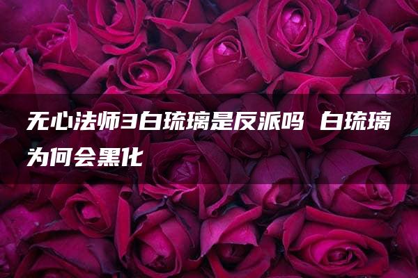 无心法师3白琉璃是反派吗 白琉璃为何会黑化