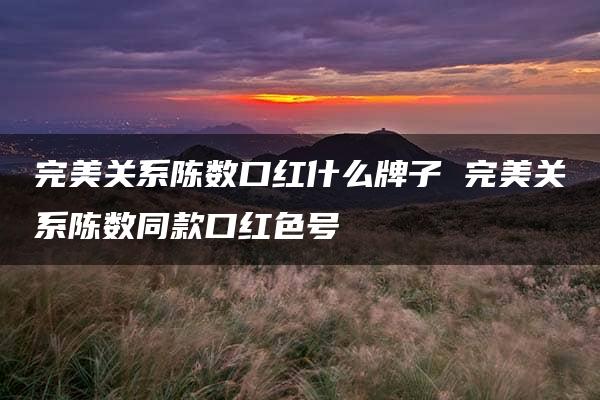 完美关系陈数口红什么牌子 完美关系陈数同款口红色号