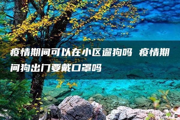 疫情期间可以在小区遛狗吗 疫情期间狗出门要戴口罩吗