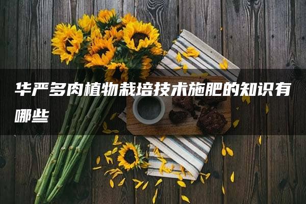 华严多肉植物栽培技术施肥的知识有哪些