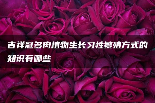 吉祥冠多肉植物生长习性繁殖方式的知识有哪些