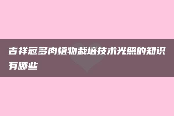 吉祥冠多肉植物栽培技术光照的知识有哪些