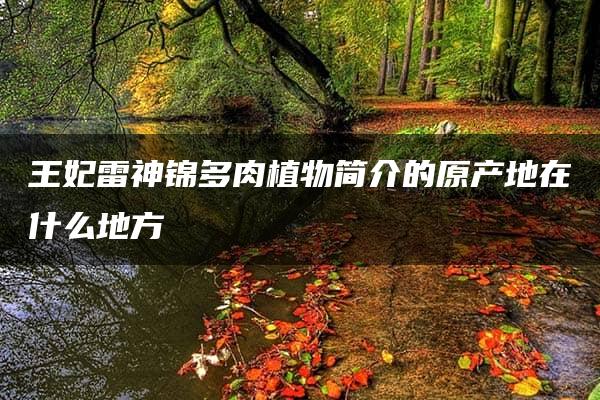 王妃雷神锦多肉植物简介的原产地在什么地方