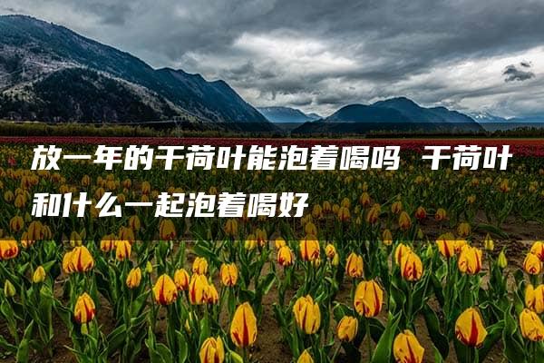 放一年的干荷叶能泡着喝吗 干荷叶和什么一起泡着喝好