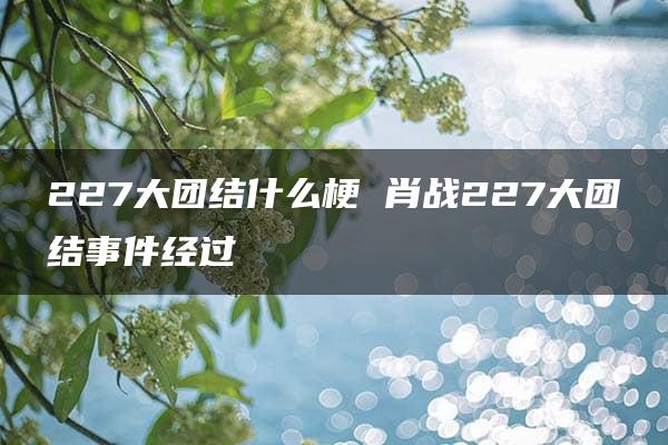 227大团结什么梗 肖战227大团结事件经过