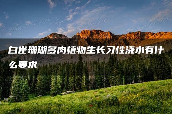 白雀珊瑚多肉植物生长习性浇水有什么要求