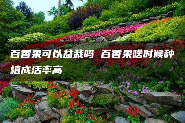 百香果可以盆栽吗 百香果啥时候种植成活率高