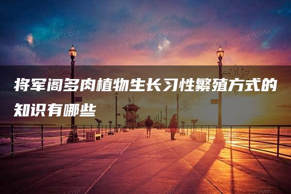 将军阁多肉植物生长习性繁殖方式的知识有哪些