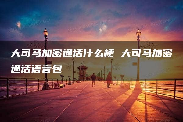 大司马加密通话什么梗 大司马加密通话语音包