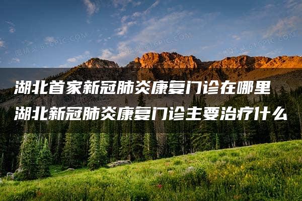 湖北首家新冠肺炎康复门诊在哪里 湖北新冠肺炎康复门诊主要治疗什么