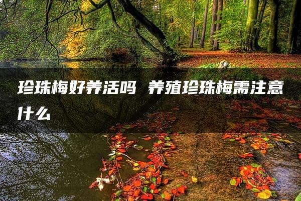 珍珠梅好养活吗 养殖珍珠梅需注意什么