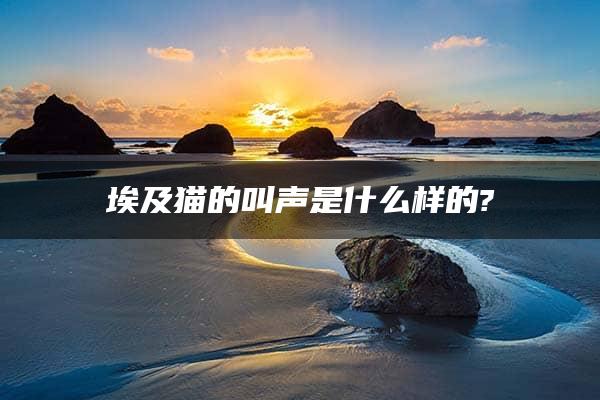 埃及猫的叫声是什么样的?