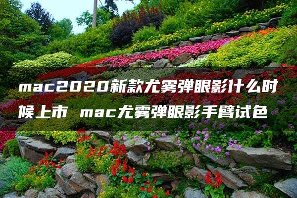 mac2020新款尤雾弹眼影什么时候上市 mac尤雾弹眼影手臂试色