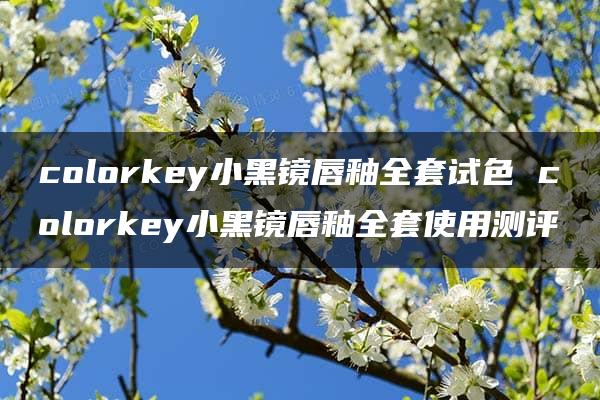 colorkey小黑镜唇釉全套试色 colorkey小黑镜唇釉全套使用测评