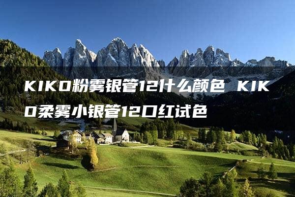 KIKO粉雾银管12什么颜色 KIKO柔雾小银管12口红试色