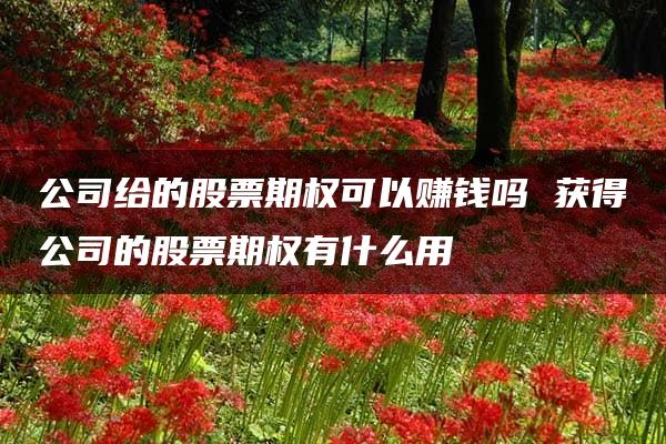 公司给的股票期权可以赚钱吗 获得公司的股票期权有什么用