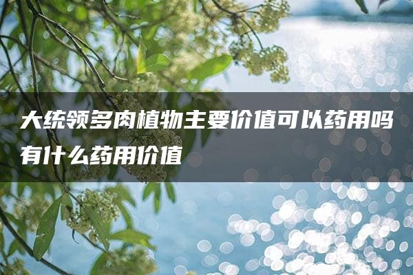 大统领多肉植物主要价值可以药用吗有什么药用价值