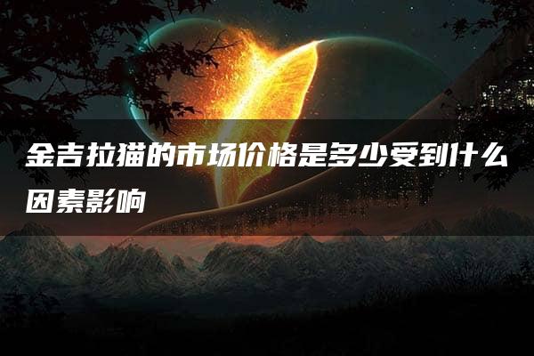 金吉拉猫的市场价格是多少受到什么因素影响