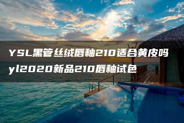 YSL黑管丝绒唇釉210适合黄皮吗 yl2020新品210唇釉试色