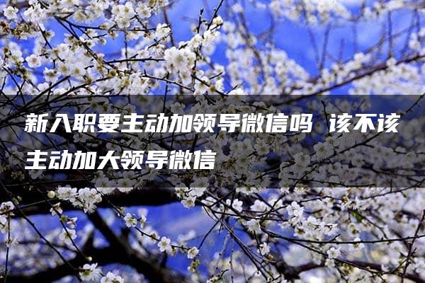 新入职要主动加领导微信吗 该不该主动加大领导微信