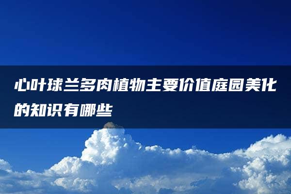 心叶球兰多肉植物主要价值庭园美化的知识有哪些