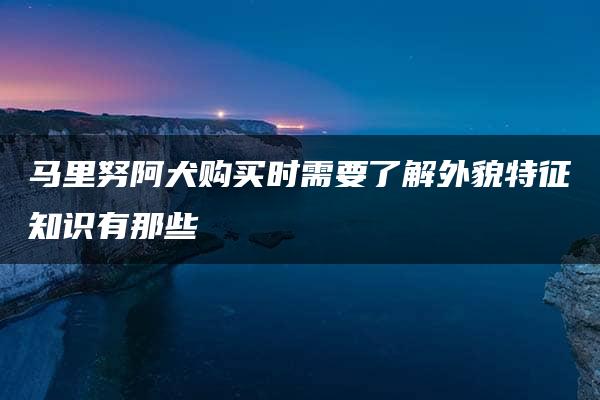 马里努阿犬购买时需要了解外貌特征知识有那些