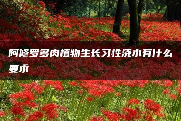 阿修罗多肉植物生长习性浇水有什么要求