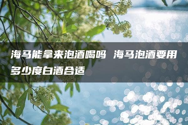 海马能拿来泡酒喝吗 海马泡酒要用多少度白酒合适