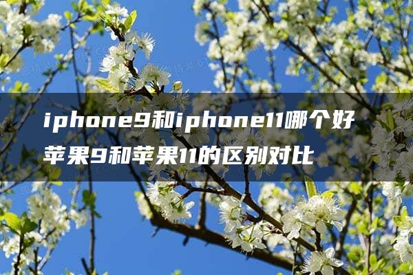 iphone9和iphone11哪个好 苹果9和苹果11的区别对比