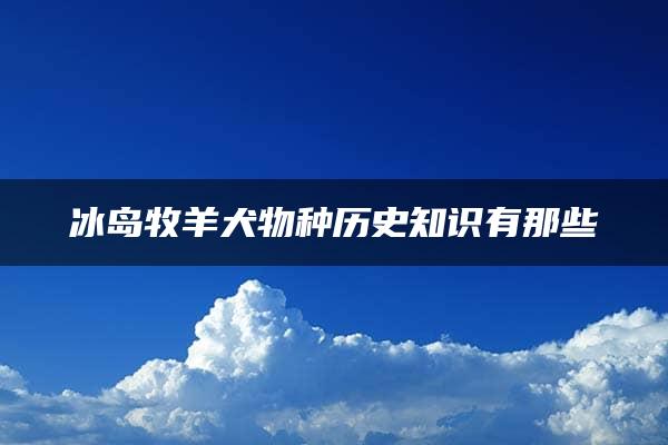 冰岛牧羊犬物种历史知识有那些