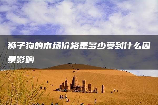 狮子狗的市场价格是多少受到什么因素影响