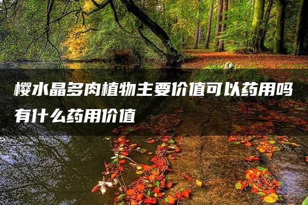 樱水晶多肉植物主要价值可以药用吗有什么药用价值