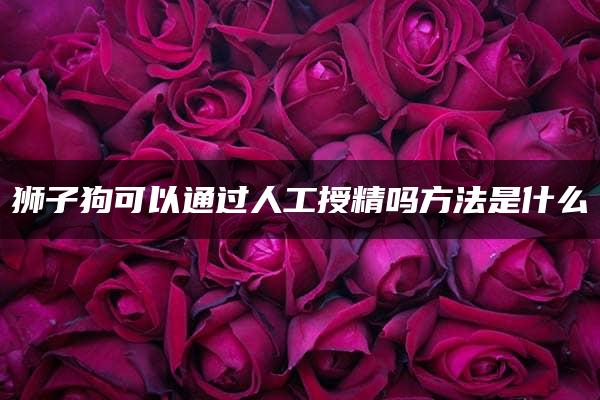 狮子狗可以通过人工授精吗方法是什么