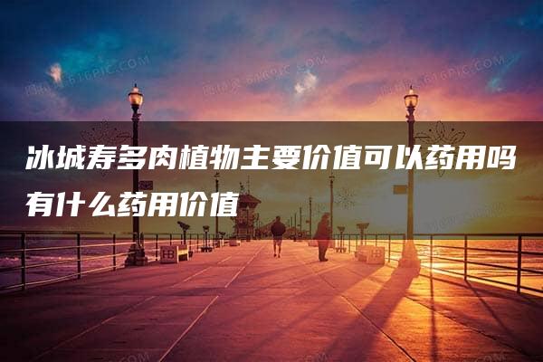 冰城寿多肉植物主要价值可以药用吗有什么药用价值