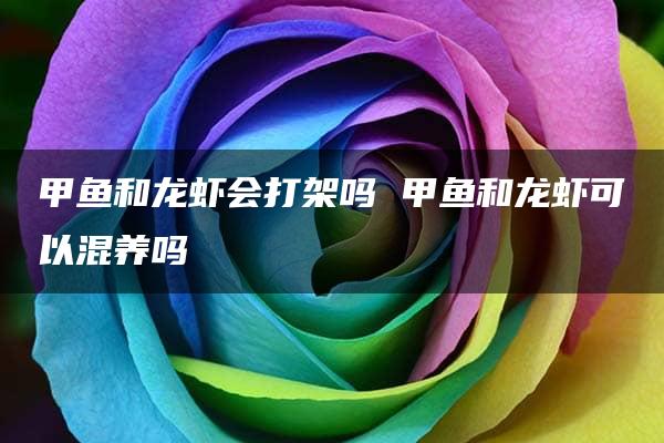 甲鱼和龙虾会打架吗 甲鱼和龙虾可以混养吗