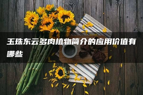 玉珠东云多肉植物简介的应用价值有哪些