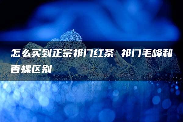 怎么买到正宗祁门红茶 祁门毛峰和香螺区别