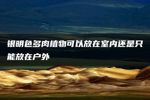 银明色多肉植物可以放在室内还是只能放在户外