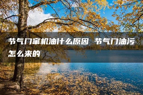 节气门窜机油什么原因 节气门油污怎么来的