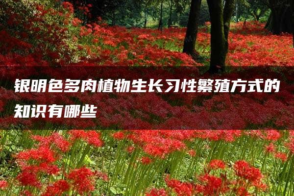 银明色多肉植物生长习性繁殖方式的知识有哪些