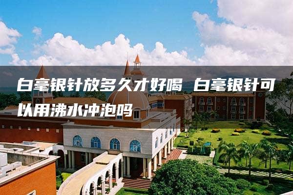 白毫银针放多久才好喝 白毫银针可以用沸水冲泡吗