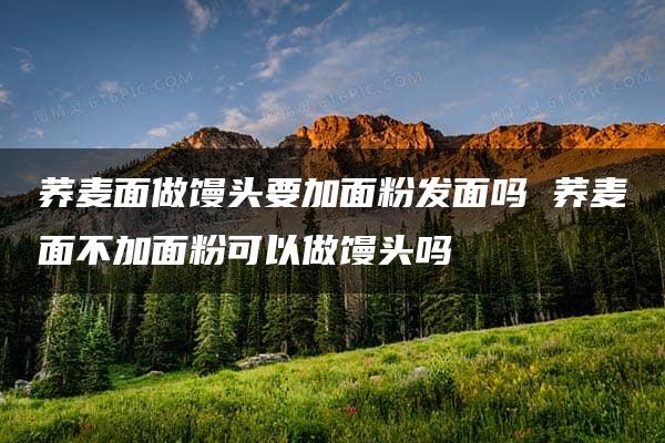 荞麦面做馒头要加面粉发面吗 荞麦面不加面粉可以做馒头吗