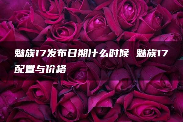 魅族17发布日期什么时候 魅族17配置与价格